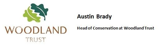 photo WoodlandTrust_zpsfe0bace4.jpg