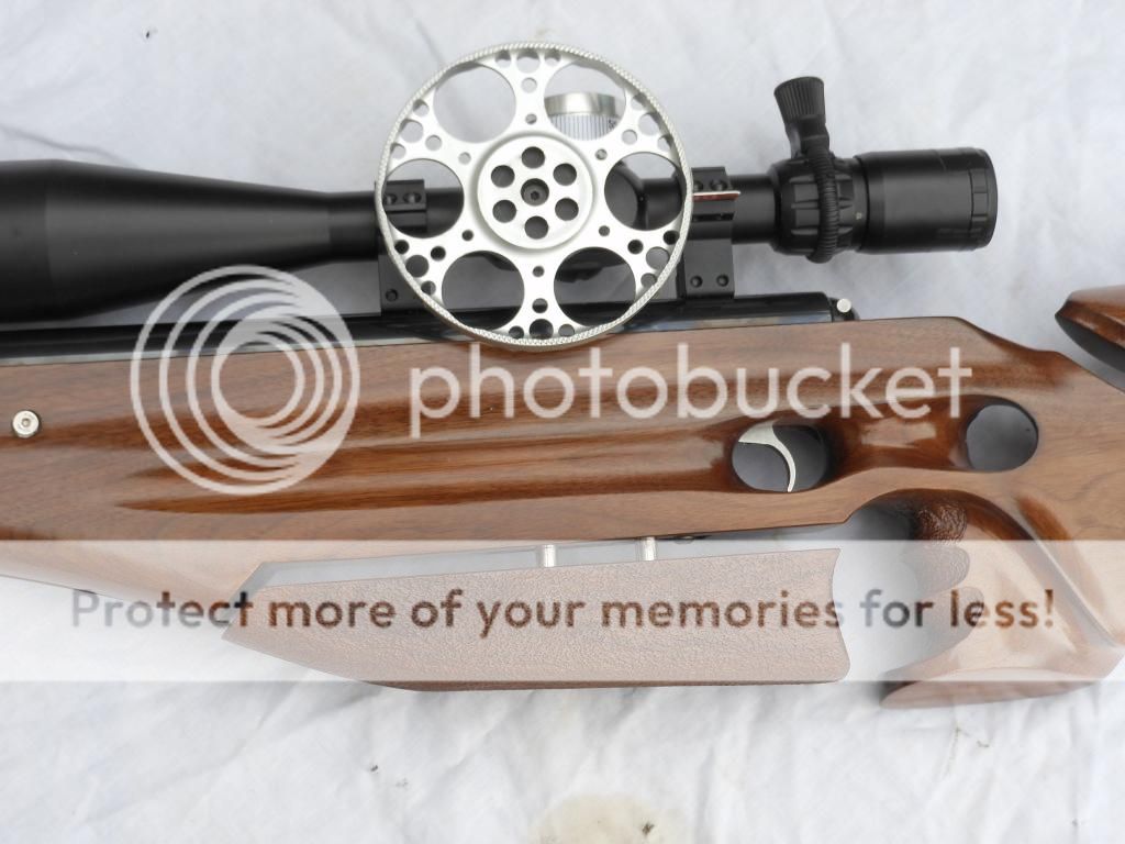 air arms tx200 custom/ft stock