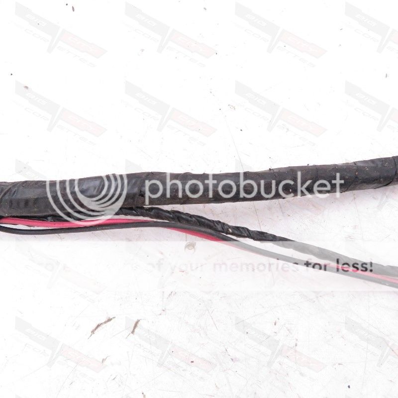  photo 101027-1985 15_zpszlzkqjft.jpg