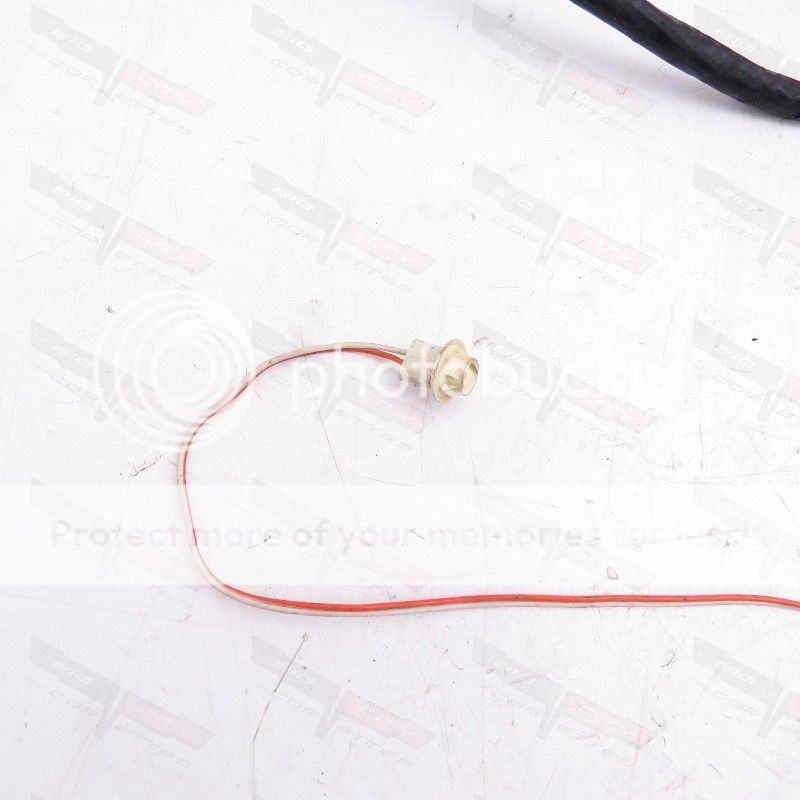  photo 101027-1985 2_zpsnet7lf14.jpg