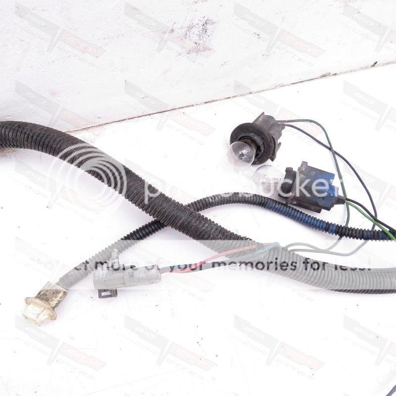  photo 101027-1985 7_zpsssorb0if.jpg