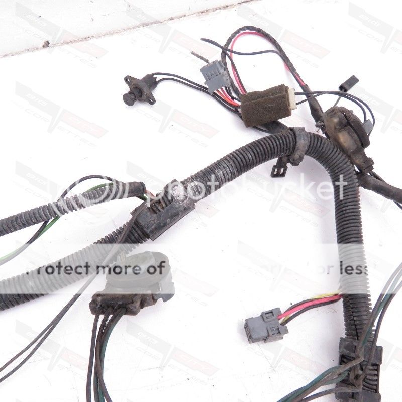  photo 101027-1985 9_zps6krmqkhl.jpg