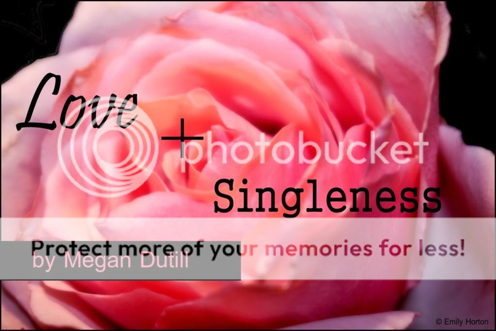 photo roses_zpsaaawajcd.jpg
