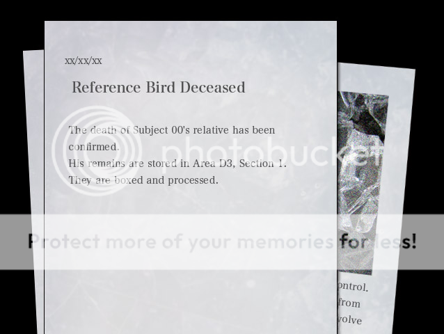 photo archive09_zpse5606075.png