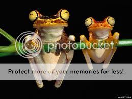 Photobucket Pictures, Images and Photos